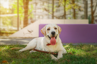 Similar image 22068287