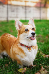 Similar image 22068291