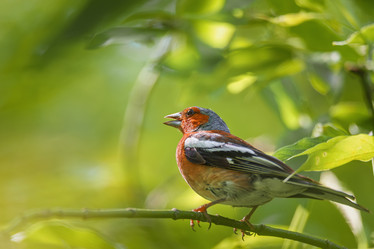 Similar image 22067554