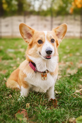 Similar image 22067555