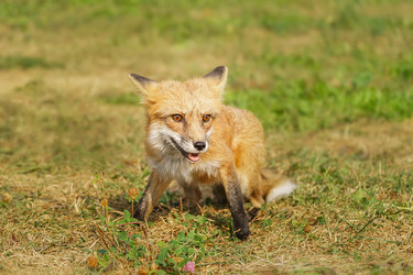 Similar image 22067559