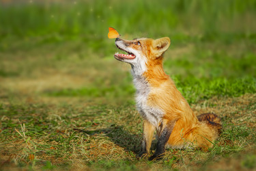 Similar image 22067562