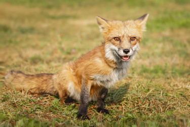 Similar image 22067563