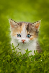 Similar image 22067564