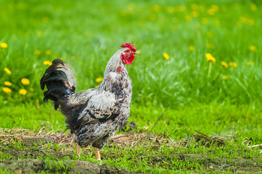 Similar image 22067571