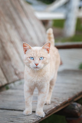 Similar image 22067573