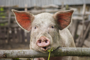 Similar image 22067574