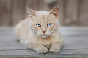 Similar image 22067576