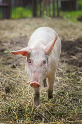 Similar image 22067577