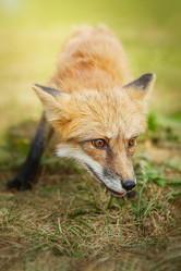 Similar image 22067578