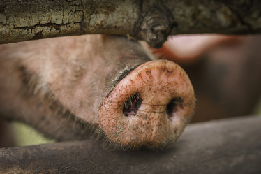 Similar image 22067580