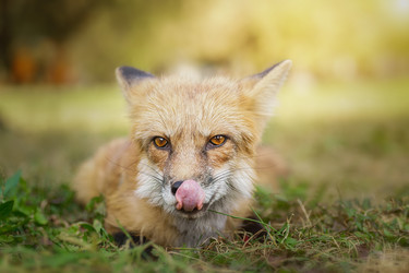 Similar image 22067585