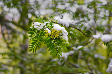 Similar image 22080489