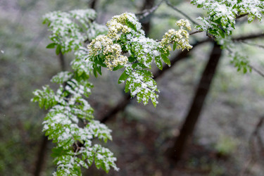 Similar image 22080490