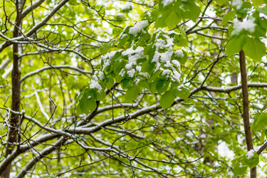 Similar image 22080491