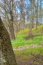 Similar image 22080492