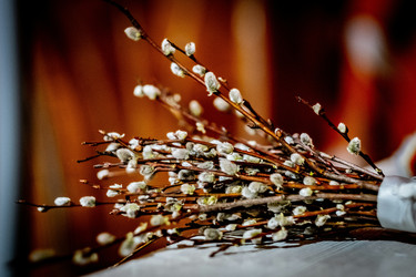 Similar image 22066998