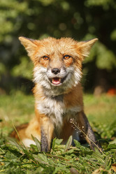 Similar image 22068628