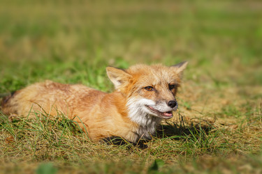 Similar image 22068630