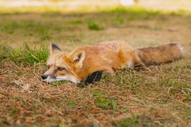 Similar image 22068634