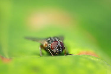 Similar image 22068638