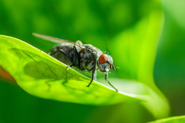 Similar image 22068642