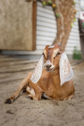 Similar image 22068643