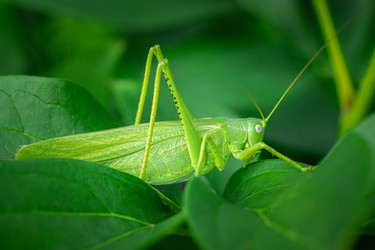 Similar image 22068651