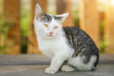 Similar image 22068660