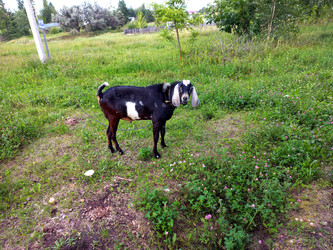 Similar image 22068675