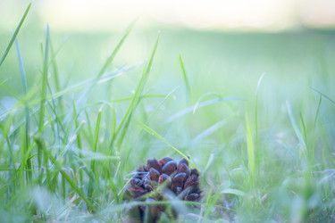 Similar image 22069243