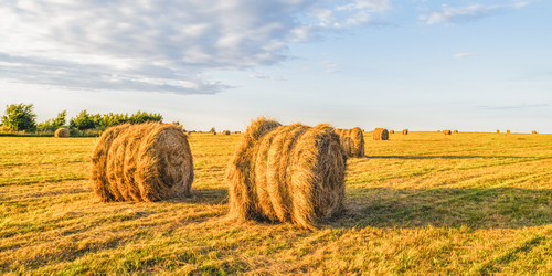 Similar image 22069245