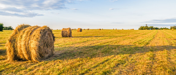 Similar image 22069246