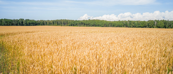 Similar image 22069247