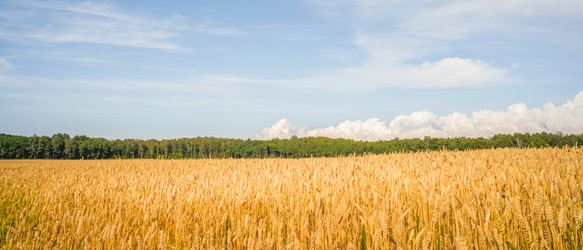 Similar image 22069248