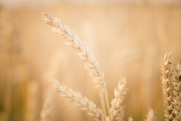 Similar image 22069249