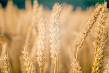 Similar image 22069250