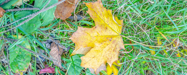 Similar image 22069251