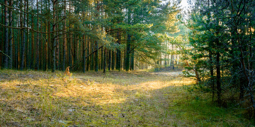 Similar image 22069253