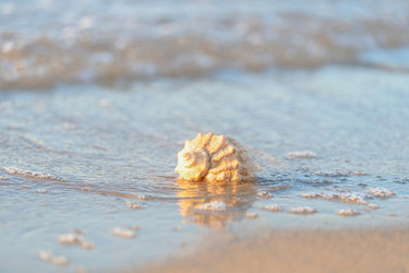 Similar image 22069256