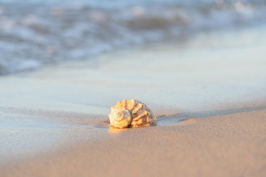 Similar image 22069257