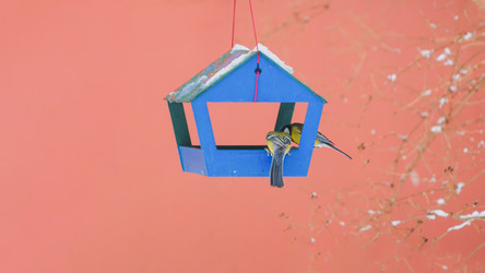 Similar image 22069258