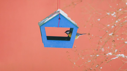 Similar image 22069259