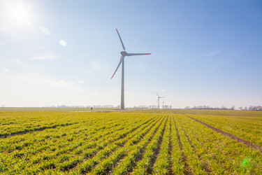 Similar image 22069270