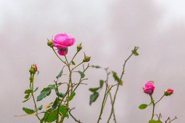 Similar image 22069534