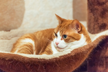 Similar image 22069540