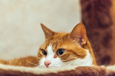 Similar image 22069541