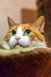 Similar image 22069542