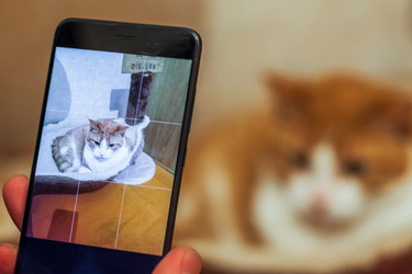 Similar image 22069544