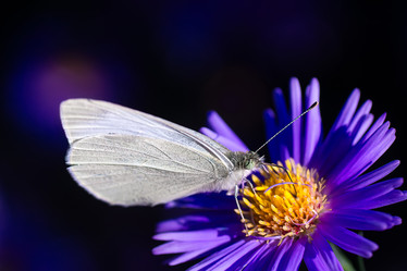 Similar image 22068676